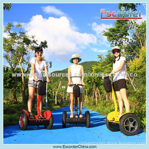 Made of Whole Molding Silica Self Balance Electric Scooter
